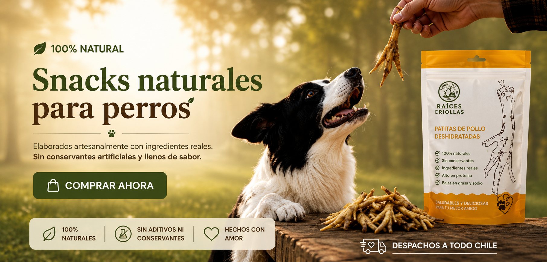 Snacks naturales para perros: patitas de pollo deshidratadas Raíces Criollas, 100% naturales, sin aditivos ni conservantes, despachos a todo Chile